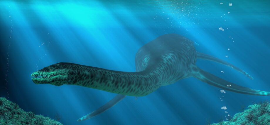 Plesiosaurs vomited indigestible pellets like owls