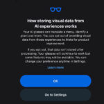 How to stop Meta training its AI models on your smart glasses’ visual data