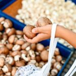 How to Pick the Freshest Mushrooms at the Store