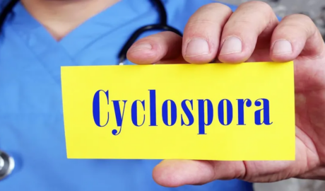 Italian reports cover Cyclospora and Salmonella cases