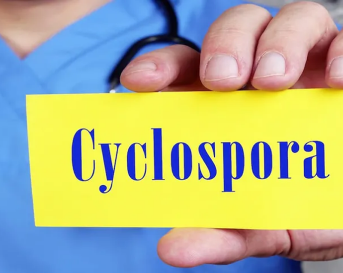 Italian reports cover Cyclospora and Salmonella cases