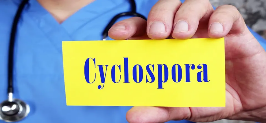 Italian reports cover Cyclospora and Salmonella cases