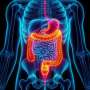 Focusing on the ‘obesity paradox’ to improve cancer treatment success