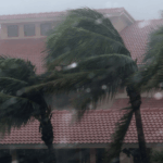 Wavy-shaped homes could limit damage from hurricane winds