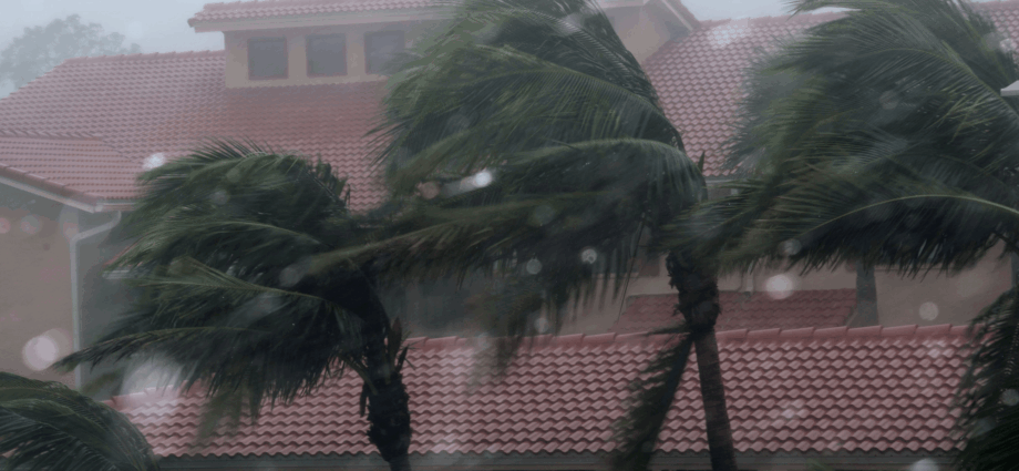 Wavy-shaped homes could limit damage from hurricane winds