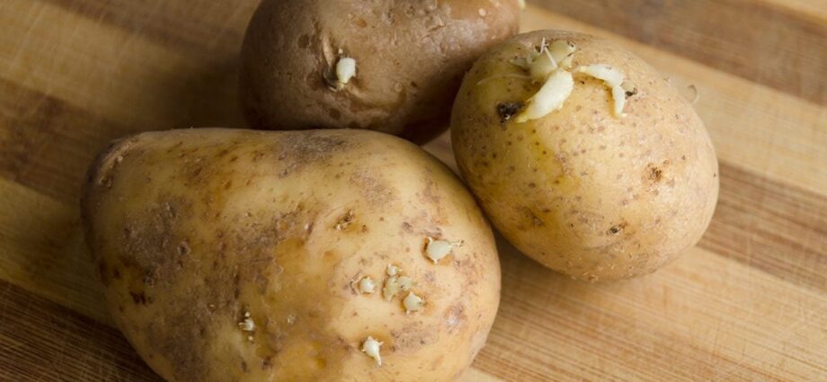Can You Eat Sprouted Potatoes?