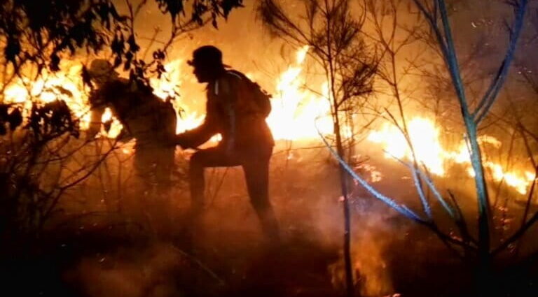 Wildfire in Indonesia’s Mount Bromo National Park kills 4 firefighters